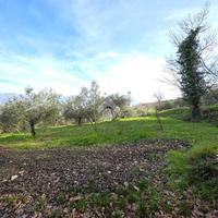 TER. AGRICOLO A SANT'AGATA DE' GOTI