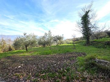 TER. AGRICOLO A SANT'AGATA DE' GOTI