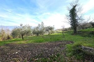 TER. AGRICOLO A SANT'AGATA DE' GOTI