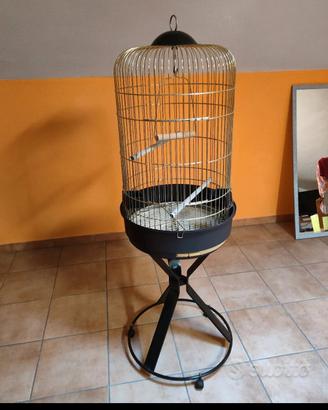 gabbia pappagalli 