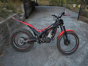 Beta Evo 290 Factory - 2011