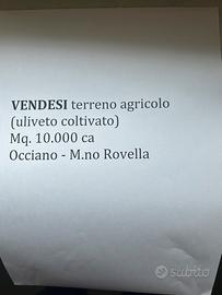 Terreno Agricolo coltivato