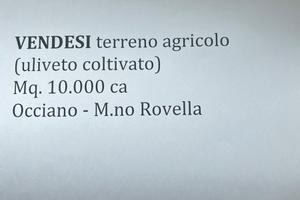 Terreno Agricolo coltivato