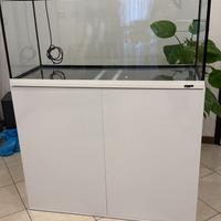 Acquario e supporto