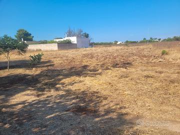 Terreno agricolo
