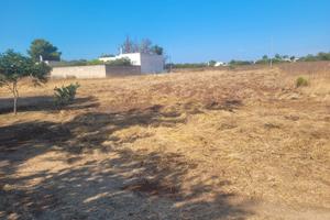 Terreno agricolo