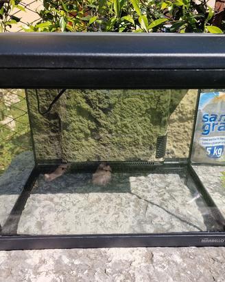 Acquario Mirabello 30 Completo + Kit Accessori 