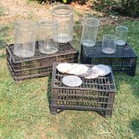 6 Vasi di vetro  per conservazione sotto sale