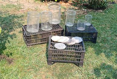 6 Vasi di vetro  per conservazione sotto sale