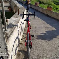 Bici da corso Willer Triestina GTR