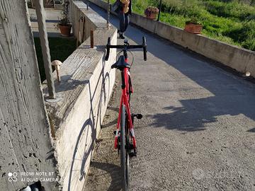Bici da corso Willer Triestina GTR