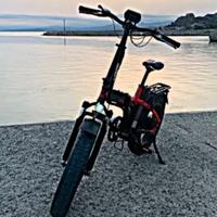 Bici elettrica Armony asso 