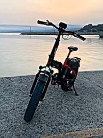 Bici elettrica Armony asso 