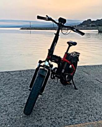Bici elettrica Armony asso 