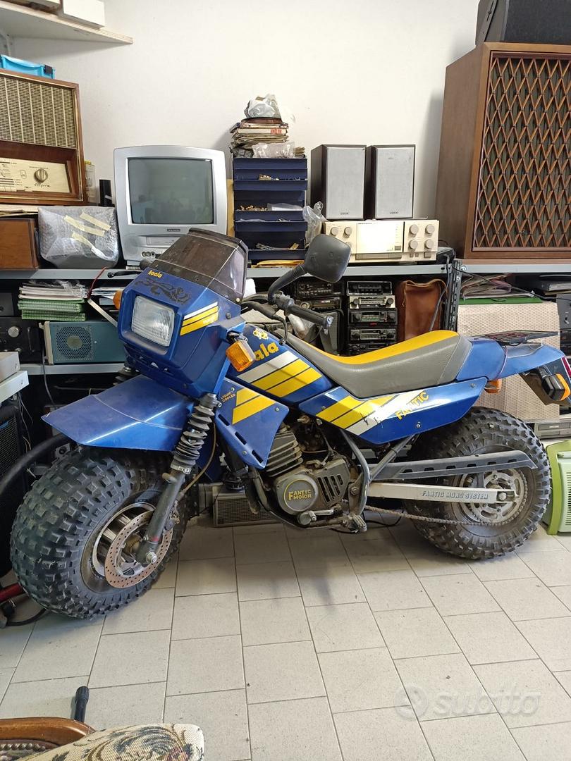 Fantic Motor Koala 1986 Moto e Scooter In vendita a Siena