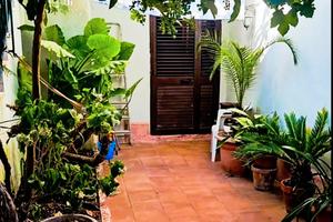 Villetta Indipendente a Cellole - vicino al mare