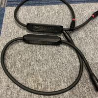 TRANSPARENT MUSIC LINK SUPER