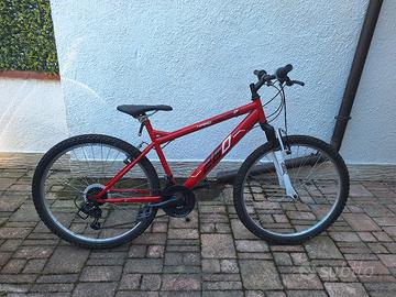 mountanbike bambino
