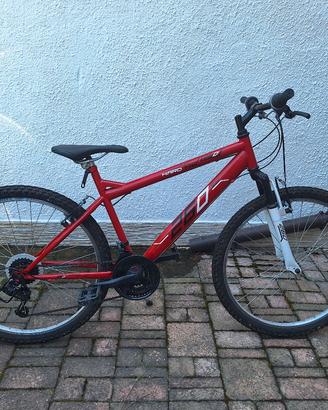 mountanbike bambino