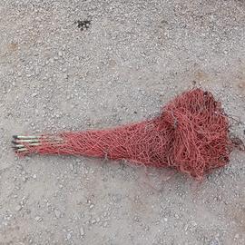 Recinzione pecore e capre 