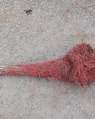 Recinzione pecore e capre 