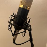 Microfono da registrazione