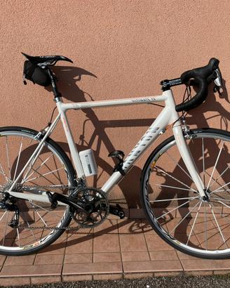 Bici da corsa canyon
