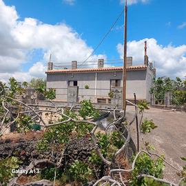 Terreno pistacchieto