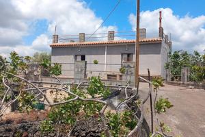 Terreno pistacchieto