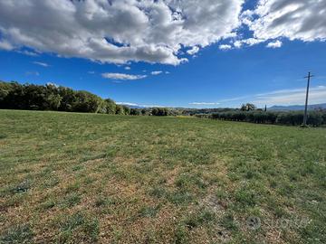 Terreno 20.000 mq Frazionabile