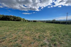 Terreno 20.000 mq Frazionabile