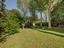 Immagine 10