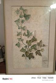 quadri giaquinto luigia 