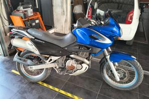 Suzuki freewind 650 - neopatentati A2 -