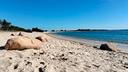 pula-villino-con-giardino-a-due-passi-dal-mare