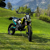 Husqvarna TPI 300 2019