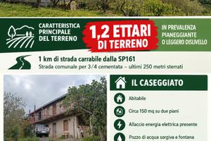 Terreno e caseggiato Militello Rosmarino (ME)