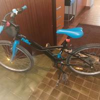 Bicicletta ragazzo 10-12 anni