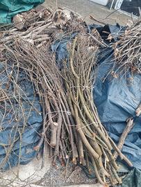 fascine per forno a legna