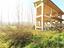 Immagine 12