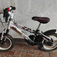 Bicicletta 2-4 anni