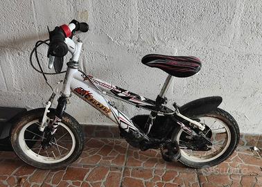 Bicicletta 2-4 anni