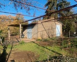 Rustico con terreno