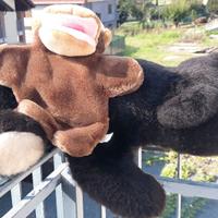 2 Peluche Scimmietta e Orso  SCIMMIETTA E ORSO