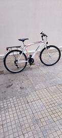 bici uomo