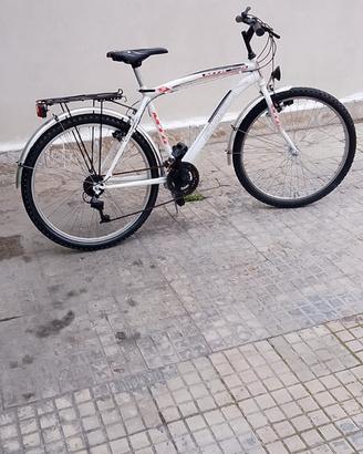bici uomo