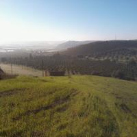 Terreno agricolo con casa diruta