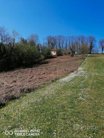 Terreno agricolo Valmontone Roma