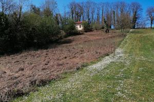 Terreno agricolo Valmontone Roma