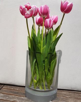 Vaso porta fiori luminoso a led RGB